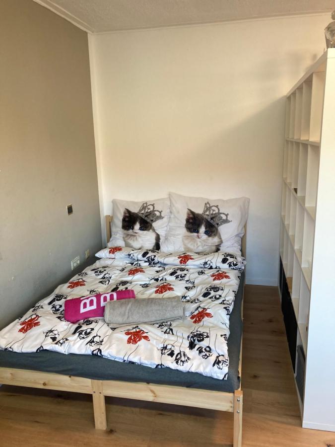Privatzimmer In Muenchen Zentrum Munique Exterior foto